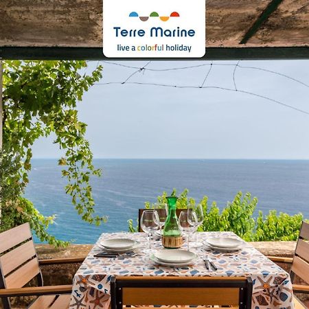 Casa Luciana, Terremarine, Trekking And Nature La Spezia Exterior photo